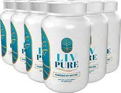 Bridport Health Liver Support 6 bottles — 180-day supply